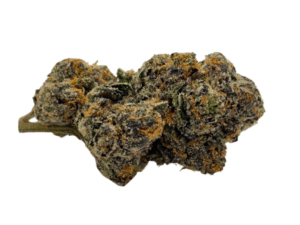 Gelato 33