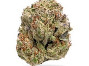 Lemon Cherry Gelato