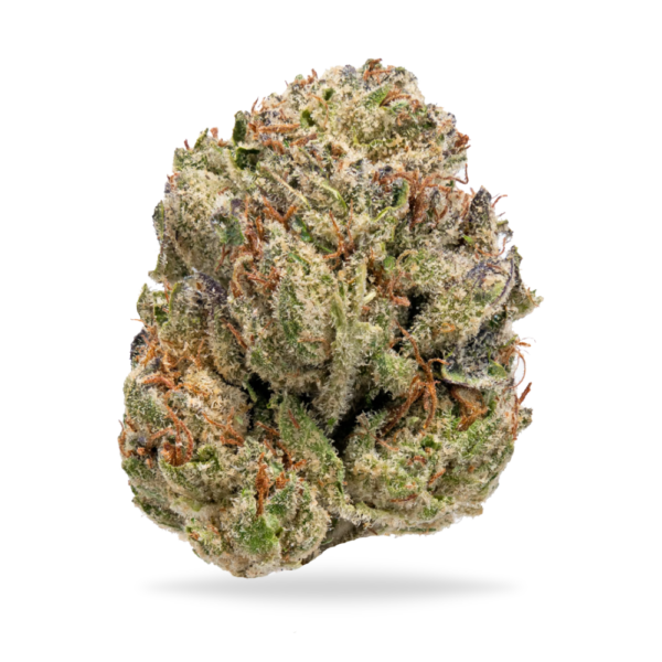 Lemon Cherry Gelato