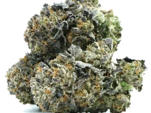 Black Gas kush