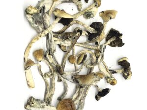 Blue Meanies mushrooms