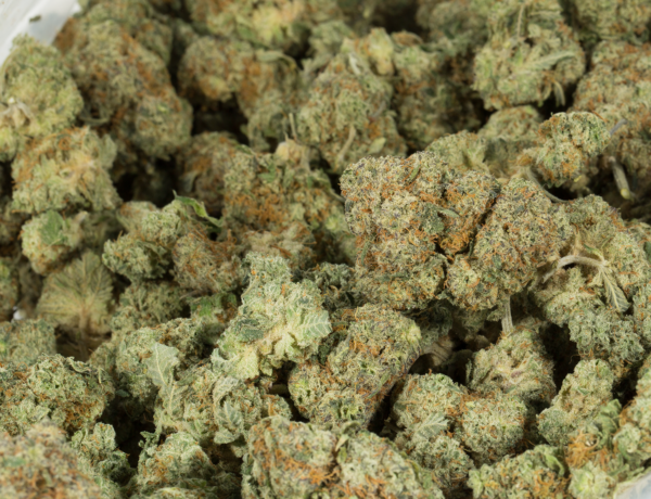 Donkey Butter (AAAA) 3.5g to 28g - Image 2