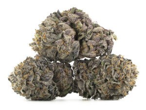Forbidden Fruit Strain