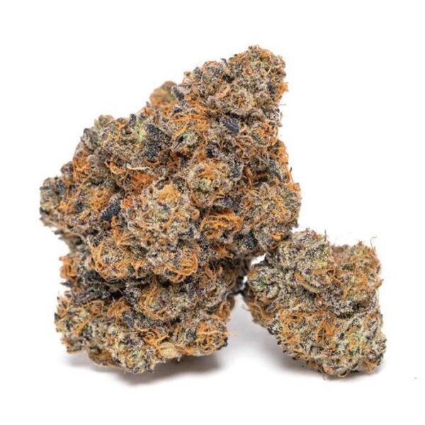 Gelato 41