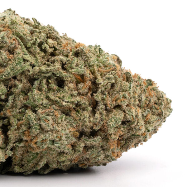 Trainwreck