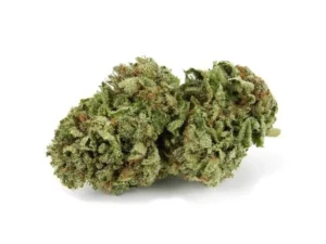 OG 18