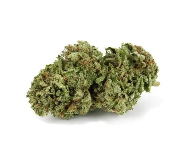 OG 18
