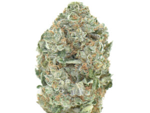 Pink Gas Mask (AAAA+)