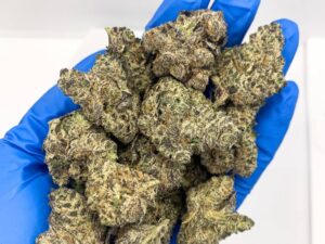 Rare Truffle Cake Strain 2