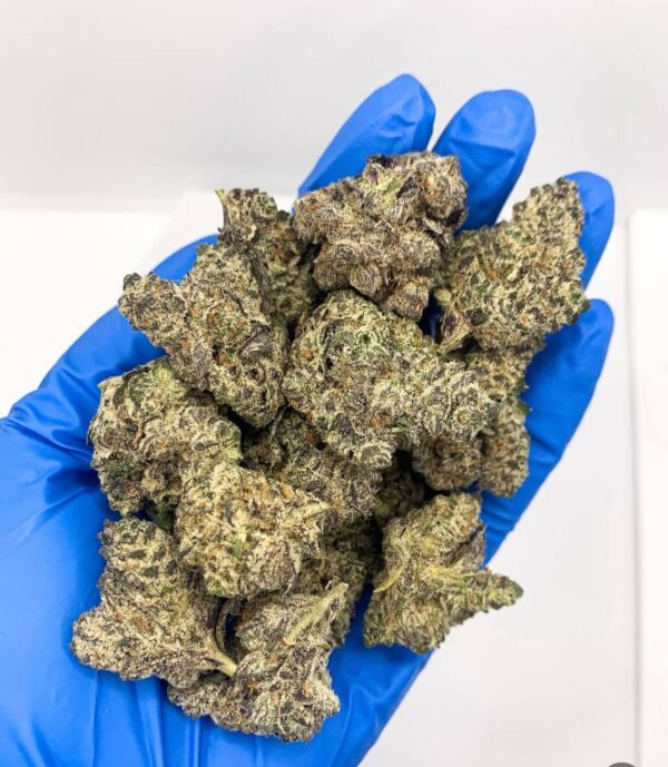 Rare Truffle Cake Strain 2