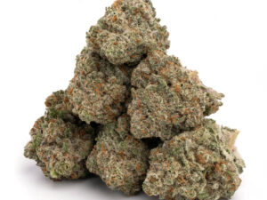 Jack Herer